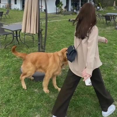 整形师·脸