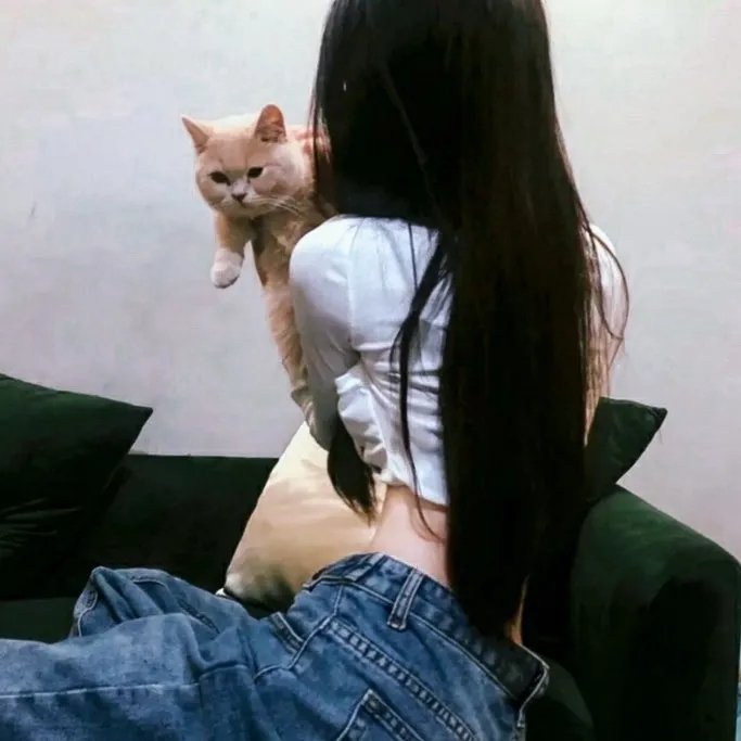 如果历史是一群喵第六季